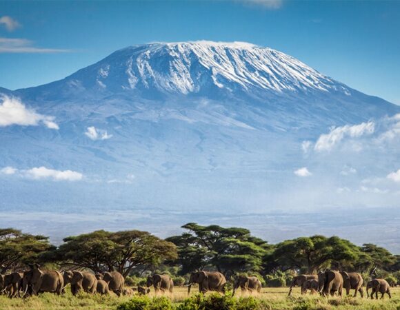 Mount Kilimanjaro