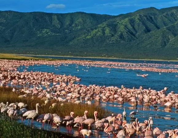 Lake Elementaita & Otutu Hills Day Trip